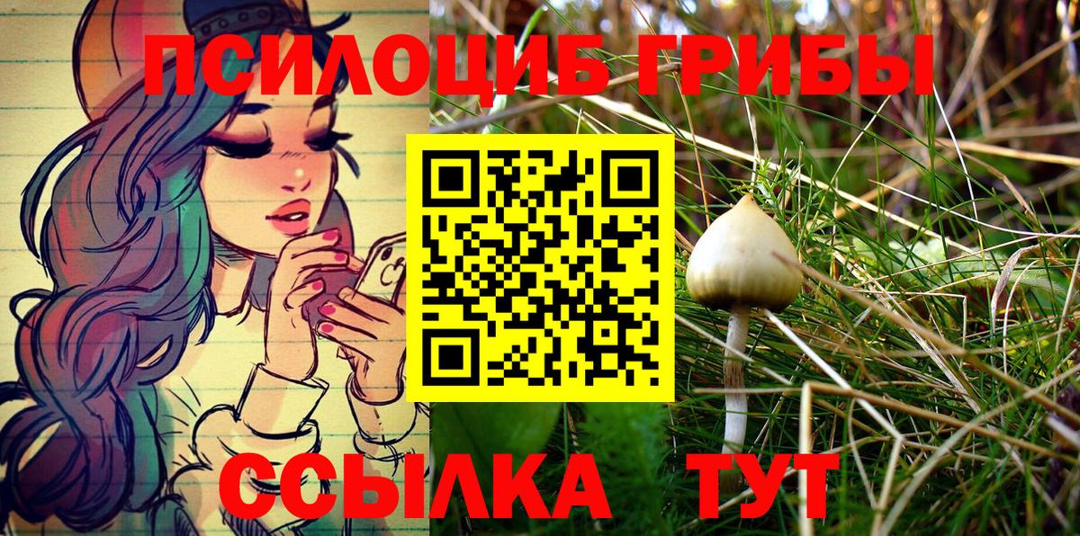 Орёл  Псилоцибиновые грибы Magic Shrooms  Галлюциногенные грибы Psilocybine cubensis  Вход с VPN 